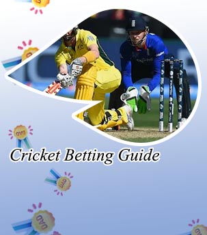 Cricket betting terms