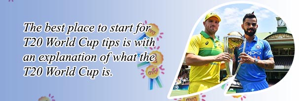 Cricket world cup betting sites